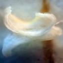 Img.VTax4163.Ex2.Img7