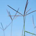 Img.VTax4165.Ex1.Img1