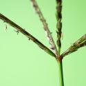 Img.VTax4165.Ex1.Img3