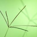 Img.VTax4165.Ex1.Img4