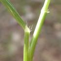 Img.VTax4165.Ex2.Img5