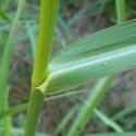 Img.VTax4177.Ex2.Img3