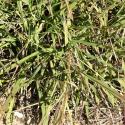 Img.VTax4182.Ex1.Img6