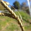 Img.VTax4182.Ex1.Img8