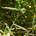 Img.VTax4182.Ex2.Img1