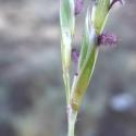 Img.VTax4184.Ex1.Img1