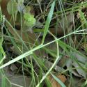 Img.VTax4184.Ex2.Img6