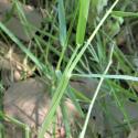 Img.VTax4184.Ex3.Img1