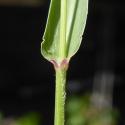 Img.VTax4193.Ex2.Img5