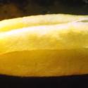 Img.VTax4201.Ex5.Img7