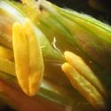 Img.VTax4201.Ex5.Img9