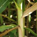 Img.VTax4202.Ex2.Img3
