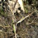 Img.VTax4205.Ex1.Img5