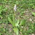 Img.VTax4247.Ex2.Img6