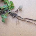 Img.VTax425.Ex1.Img6