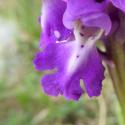 Img.VTax4269.Ex1.Img1
