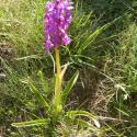 Img.VTax4269.Ex1.Img3