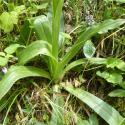 Img.VTax4269.Ex1.Img6