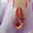 Img.VTax4274.Ex2.Img3