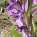 Img.VTax4280.Ex2.Img3