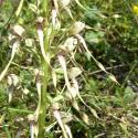 Img.VTax4283.Ex1.Img6