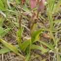 Img.VTax4288.Ex1.Img3