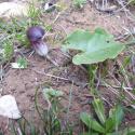 Img.VTax4322.Ex2.Img1