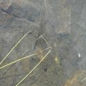Img.VTax4333.Ex1.Img4