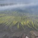 Img.VTax4333.Ex1.Img5