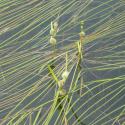 Img.VTax4333.Ex1.Img6