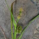 Img.VTax4333.Ex1.Img8