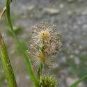 Img.VTax4333.Ex1.Img9