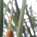 Img.VTax4335.Ex1.Img3