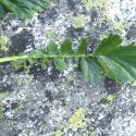 Img.VTax434.Ex1.Img1