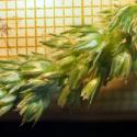 Img.VTax4355.Ex1.Img3