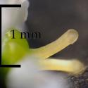 Img.VTax4364.Ex1.Img3
