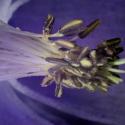 Img.VTax4366.Ex1.Img3