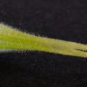 Img.VTax4366.Ex1.Img4
