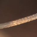 Img.VTax4429.Ex1.Img4