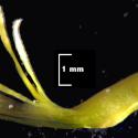 Img.VTax4445.Ex1.Img3