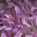 Img.VTax4472.Ex1.Img5