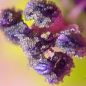 Img.VTax4519.Ex1.Img5