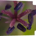 Img.VTax4519.Ex1.Img6