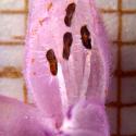 Img.VTax4559.Ex1.Img5