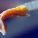 Img.VTax4750.Ex1.Img3