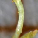 Img.VTax4750.Ex1.Img9