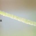Img.VTax541.Ex1.Img1
