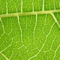 Img.VTax553.Ex1.Img6