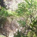 Img.VTax579.Ex1.Img7