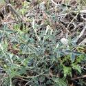 Img.VTax593.Ex2.Img9